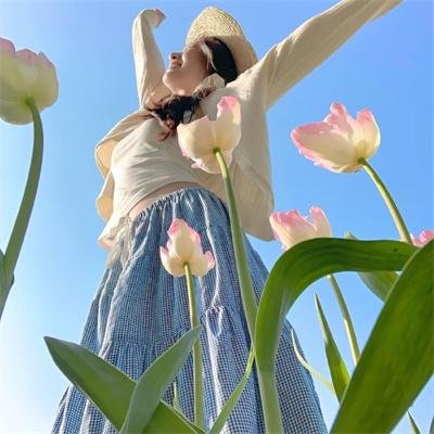 鸟与蜜蜂